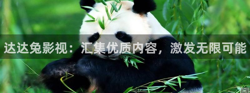 yy6080新视觉：达达兔影视：汇集优质内容，激发无限可能