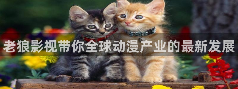 yy6080高清影院理伦：老狼影视带你全球动漫产业的最新发展