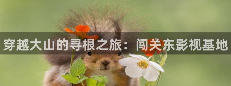 6080私人影院里的电影能看吗：穿越大山的寻根之旅：闯关东影视基地